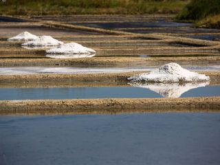 marais-salants-guerande-simon-bourcier-pornichet-5ee1f71a95b9e.jpeg